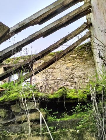 Vente / Programme neuf maison