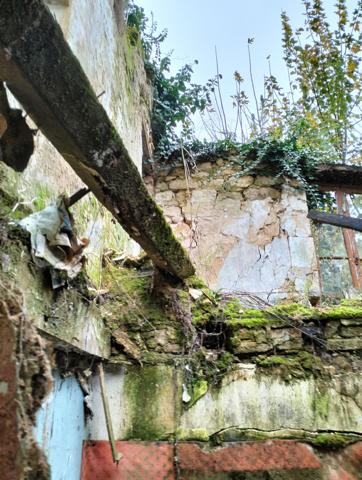 Vente / Programme neuf maison