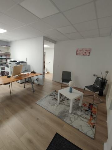 Local professionnel 61 m²