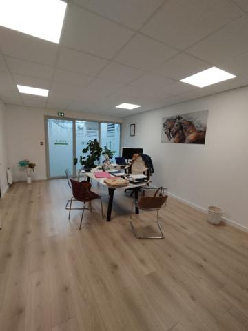 Local professionnel 61 m²