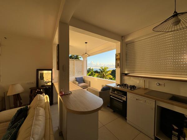 GOSIER - LES SALINES -T2 meublé vue mer avec piscine privative