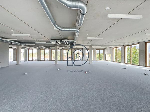 Pilaterie bureaux neufs et disponibles de suite à partir de 150 m2