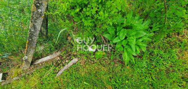 Terrain à vendre à ARTIX -