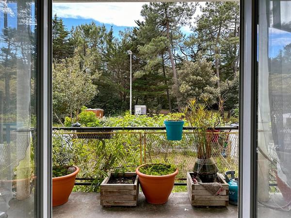 Maison face à la forêt - GROS POTENTIEL BÂTI