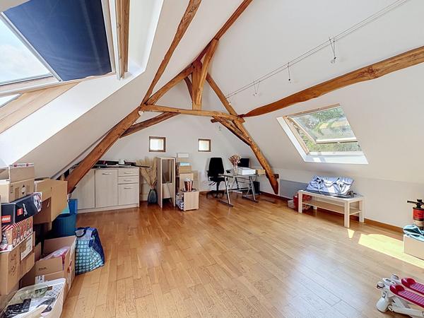 A vendre Beaufort en Anjou. Maison ancienne , terrain clos de plus de 4000m², 3 chambres plus mezzanine, piscine, garage, local, cave.