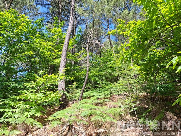 Terrain à vendre de 24 800 m² à Saint Martin de Boubaux - NESTENN Le Collet-de-Dèze