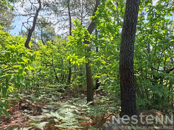 Terrain à vendre de 24 800 m² à Saint Martin de Boubaux - NESTENN Le Collet-de-Dèze