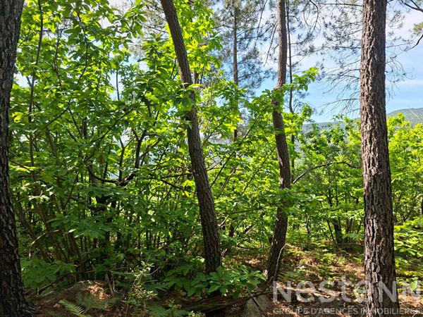 Terrain à vendre de 24 800 m² à Saint Martin de Boubaux - NESTENN Le Collet-de-Dèze