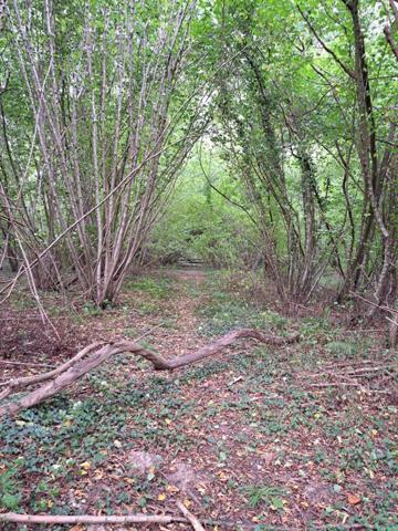 Terrain à Orbec, 14290 - 5500m²