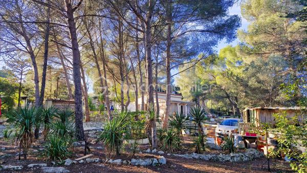 MAISON ACUTELLEMENT SOUS OFFRE D ACHAT - PLUS DE VISITES.

EN EXCLUSIVITE CHEZ BSK IMMOBILIER - ATTENTION !! Bien lire l'annonce en entier AVANT DE ME CONTACTER ! Ensemble de 2 maisons en ETAT DEGRADE, nécessitant de NOMBREUX TRAVAUX, situées sur un magnifique terrain de 6000m² en garigue au calme, dans un environnement idyllique. ATTENTION : maisons construites ILLEGALEMENT, SANS PERMIS DE CONSTRUIRE, il y a + de 50 ans, dans une zone classée Naturelle, où toute construction est interdite. Délai de 30ans passé. En cas de destruction par un sinistre, un permis de reconstruire ne serait pas accordé et les assurances ne fonctionneront pas. Aucune autorisation de travaux ne peut être accordée. PRET IMMOBILIER NON POSSIBLE pour ce type d'achat. Financement uniquement par paiement cash. Le délai pour la vente sera de 5 mois (incompressible). Merci de prendre connaissance de l'ensemble des photos.
Maison 1 - environ 75m² : pièce de vie de 20m² environ aménagée en chambre et salon, suivie d'un séjour de 20m² environ, puis d'une cuisine, d'une chambre, salle d'eau/wc, buanderie. Terrasse couverte. Bassins devant la maison d'une profondeur d'environ 1m20. Maison 2 - environ 65m² : entrée, séjour, cuisine, 2 chambres, salle d'eau/wc. Très grand terrain en pinède, avec abris jardins, allée avec nombreuses places de stationnement.
Pour me contacter : MERCI DE M ENVOYER UN SMS OU EMAIL, avec votre nom et téléphone, vous serez recontacté sous 48h. Pas d'appel, merci.