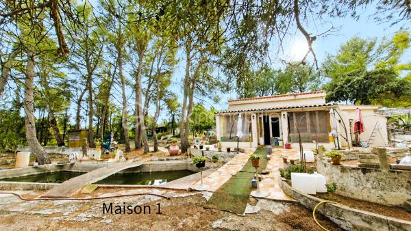 MAISON ACUTELLEMENT SOUS OFFRE D ACHAT - PLUS DE VISITES.

EN EXCLUSIVITE CHEZ BSK IMMOBILIER - ATTENTION !! Bien lire l'annonce en entier AVANT DE ME CONTACTER ! Ensemble de 2 maisons en ETAT DEGRADE, nécessitant de NOMBREUX TRAVAUX, situées sur un magnifique terrain de 6000m² en garigue au calme, dans un environnement idyllique. ATTENTION : maisons construites ILLEGALEMENT, SANS PERMIS DE CONSTRUIRE, il y a + de 50 ans, dans une zone classée Naturelle, où toute construction est interdite. Délai de 30ans passé. En cas de destruction par un sinistre, un permis de reconstruire ne serait pas accordé et les assurances ne fonctionneront pas. Aucune autorisation de travaux ne peut être accordée. PRET IMMOBILIER NON POSSIBLE pour ce type d'achat. Financement uniquement par paiement cash. Le délai pour la vente sera de 5 mois (incompressible). Merci de prendre connaissance de l'ensemble des photos.
Maison 1 - environ 75m² : pièce de vie de 20m² environ aménagée en chambre et salon, suivie d'un séjour de 20m² environ, puis d'une cuisine, d'une chambre, salle d'eau/wc, buanderie. Terrasse couverte. Bassins devant la maison d'une profondeur d'environ 1m20. Maison 2 - environ 65m² : entrée, séjour, cuisine, 2 chambres, salle d'eau/wc. Très grand terrain en pinède, avec abris jardins, allée avec nombreuses places de stationnement.
Pour me contacter : MERCI DE M ENVOYER UN SMS OU EMAIL, avec votre nom et téléphone, vous serez recontacté sous 48h. Pas d'appel, merci.
