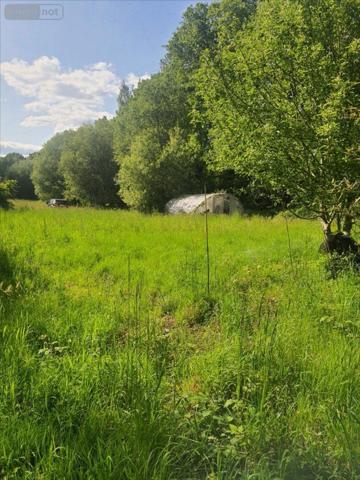 Terrain à Batir à vendre à Tréméven dans le Finistère (29300), ref : 29114-997534