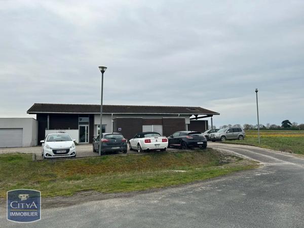 Location local professionnel