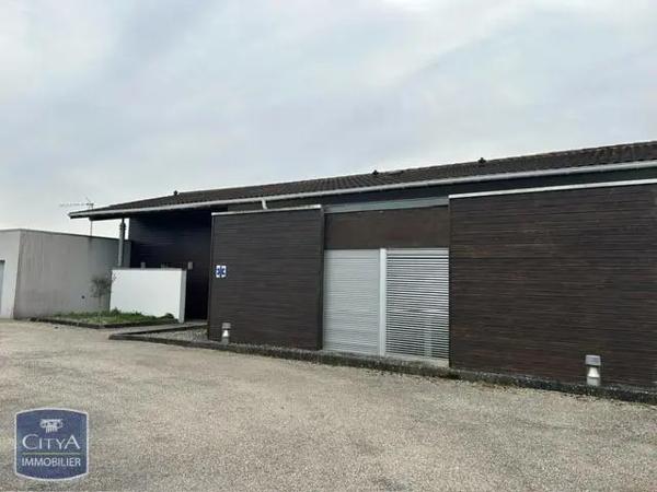 Location local professionnel