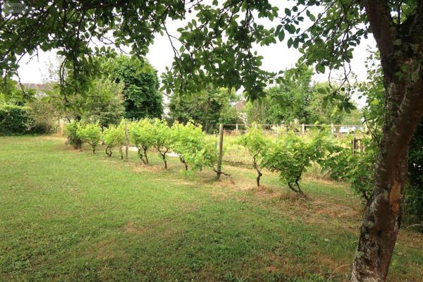 Pavillon à vendre à Availles-en-Châtellerault dans la Vienne (86530), ref : 86024-MAIS2361   
campagne