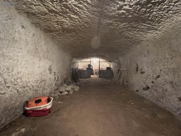 Maison à vendre à Savonnières dans l'Indre-et-Loire (37510), ref : 37096-12