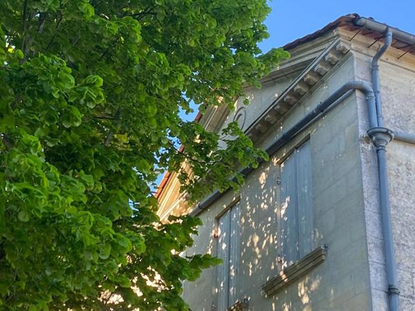 SECTEUR LIBOURNE - Domaine viticole historique , Demeure , Chai, 12 Hectares de vignes