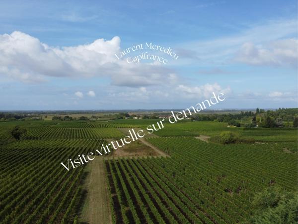 Maison neuve 115 m² – Plain-pied – Suite parentale – Terrain 600 m² – Peujard