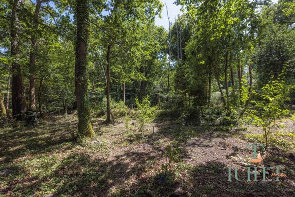 Maison d’Architecte Bioclimatique en Bois - 157 M2