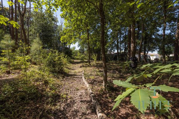 Maison d’Architecte Bioclimatique en Bois - 157 M2