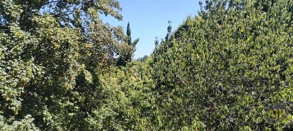 Location appartement Saintes : 645 € - AJP Immobilier Saintes