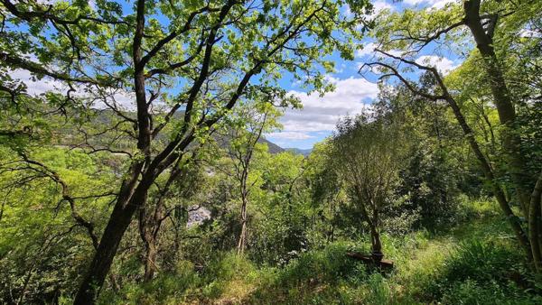 Mazet plein de charme, autonome en énergie, à 5 minutes du centre-ville