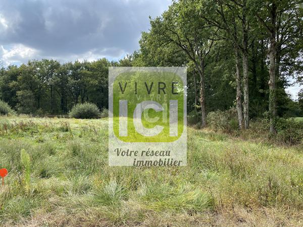 Terrain à bâtir - PONT SAINT MARTIN - 976 m²