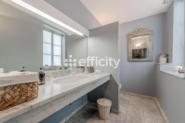 Maison 10 pièces - 434 m² Bien prestige