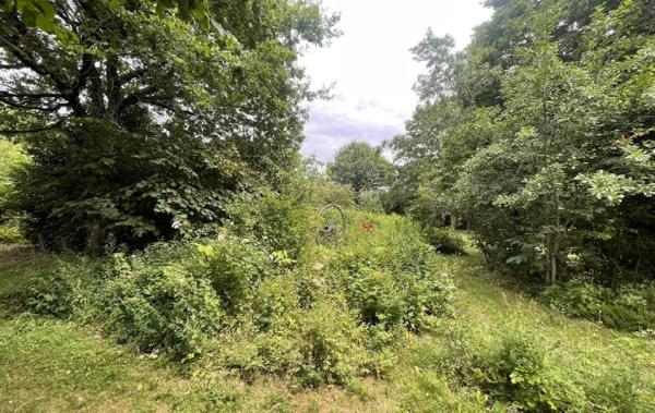 Vente Maison Coudreceau