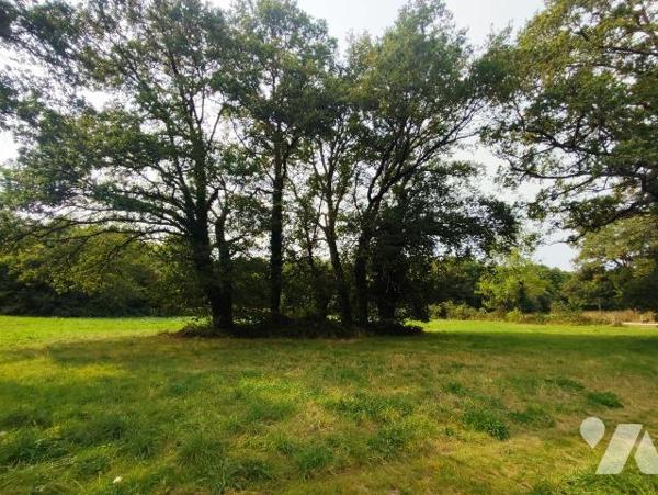  A VENDRE - MAISON AVEC BEAU POTENTIEL A COURNON (56) - Terrain de 5 504m2
Idéale située au c?...