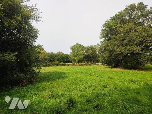  A VENDRE - MAISON AVEC BEAU POTENTIEL A COURNON (56) - Terrain de 5 504m2
Idéale située au c?...