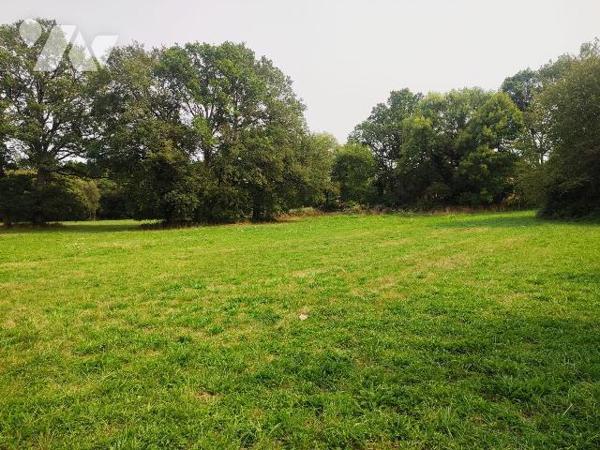  A VENDRE - MAISON AVEC BEAU POTENTIEL A COURNON (56) - Terrain de 5 504m2
Idéale située au c?...