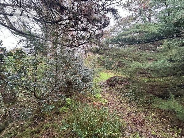 Rare à la vente! A 30 m de la mer et proche des commerces. Situation entre le centre et le pass...