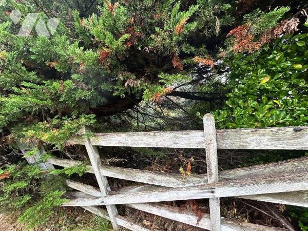 Rare à la vente! A 30 m de la mer et proche des commerces. Situation entre le centre et le pass...