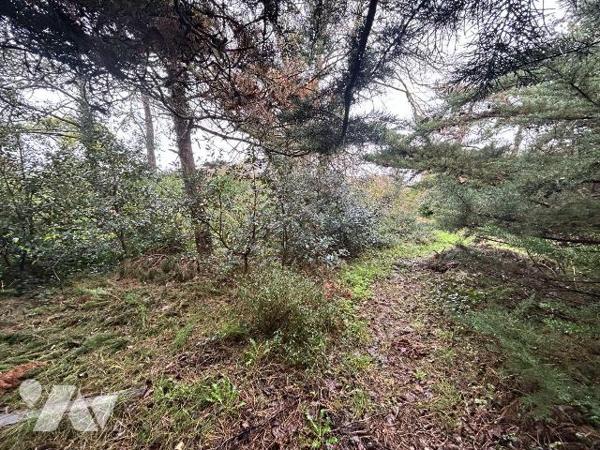 Rare à la vente! A 30 m de la mer et proche des commerces. Situation entre le centre et le pass...