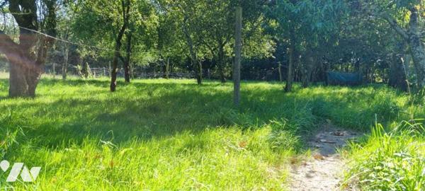 LA GUERCHE DE BGNE - Sortie ville - Terrain à bâtir + parcelle agricole