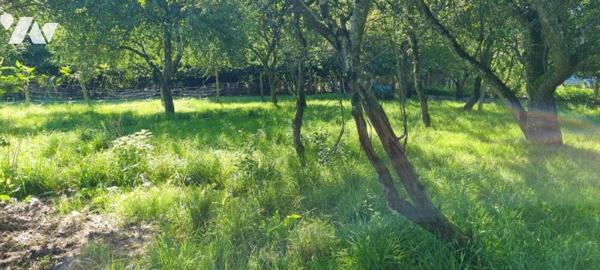 LA GUERCHE DE BGNE - Sortie ville - Terrain à bâtir + parcelle agricole