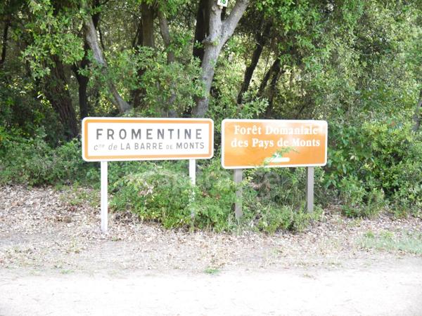 FROMENTINE ( 85 ) Vendée centre bourg , plage , MER , proche NOIRMOUTIER Appartement à vendre séjour , 1 chambre , salle d'eau / WC , parking