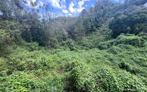 Maison à vendre    2 pièces •  Le Gosier