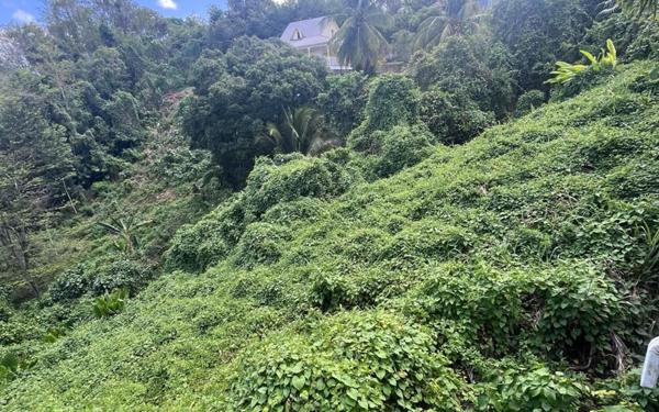 Maison à vendre    2 pièces •  Le Gosier