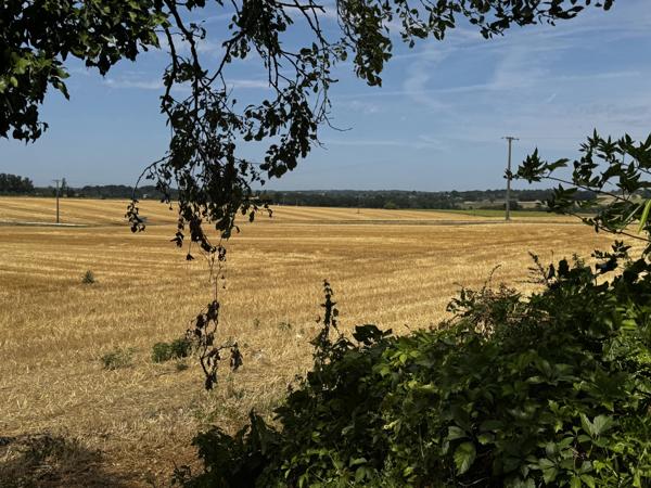 Maison de caractère de 3/4 chambres avec vue sur la campagne et potentiel de revenus