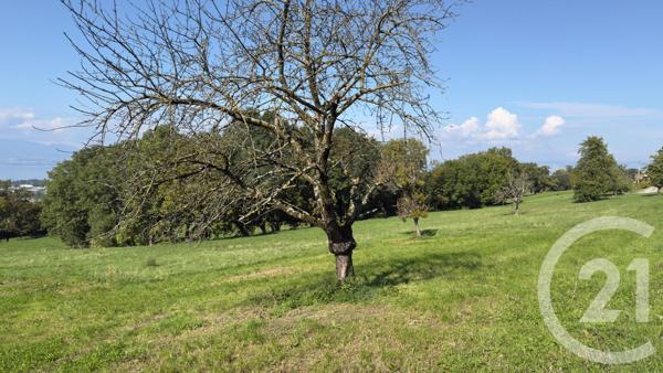 Appartement F2 à vendre  2 pièces - 43,23 m2 MARIN - 74