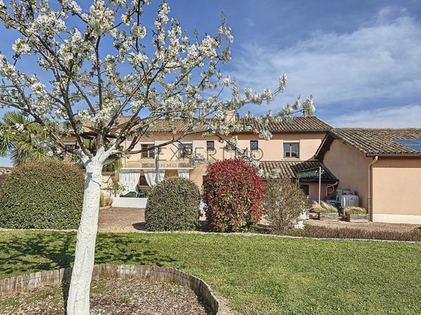 Juliénas (69840) Maison spacieuse avec vue panoramique et hangar, bureau et caveau de dégustation à Juliénas - Idéale artisan,