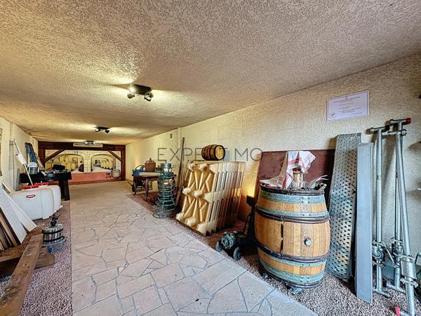 Juliénas (69840) Maison spacieuse avec vue panoramique et hangar, bureau et caveau de dégustation à Juliénas - Idéale artisan,