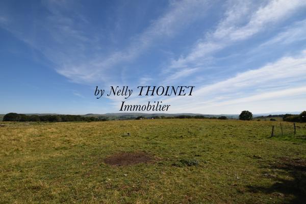 Besse-et-Saint-Anastaise (63610) Dépt 63, secteur BESSE ET ST ANASTAISE, Ancienne FERMETTE restaurée, 83 m2, isolée sur terrain de 4545m2