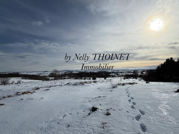 Besse-et-Saint-Anastaise (63610) Dépt 63, secteur BESSE ET ST ANASTAISE, Ancienne FERMETTE restaurée, 83 m2, isolée sur terrain de 4545m2