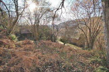 Divers à vendre à Rieupeyroux dans l'Aveyron (12240), ref : 3118 Divers à vendre à Rieupeyroux dans l'Aveyron (12240), ref : 3118