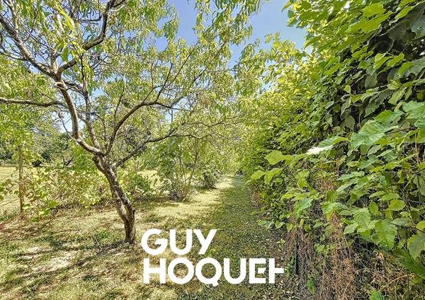 Maison en Pierre 2 Chs + Bureau et terrasse avec terrain de 607 m² environ - 71850 CHARNAY LES MACON