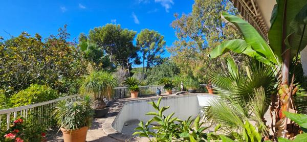 MAISON OLLIOULES - FAVEYROLLES- 295 m ²