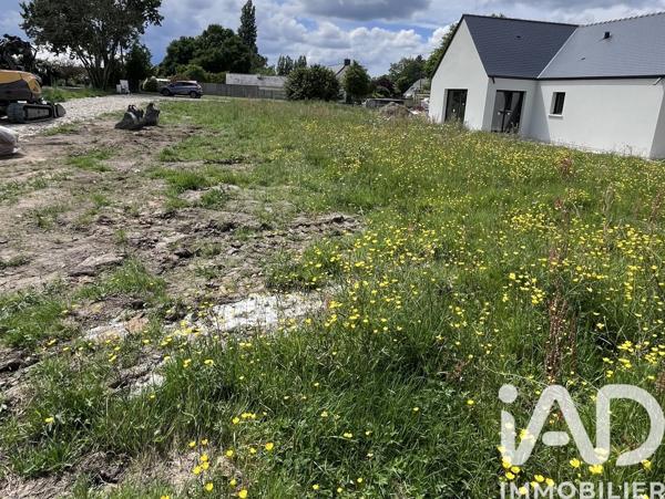 Terrain à vendre 656 m² Sainte-Reine-de-Bretagne